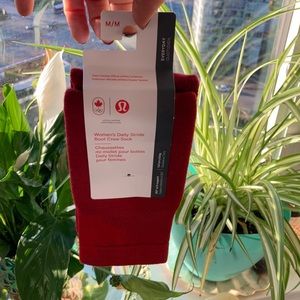 NWT - LuLulemon Olympic socks!
